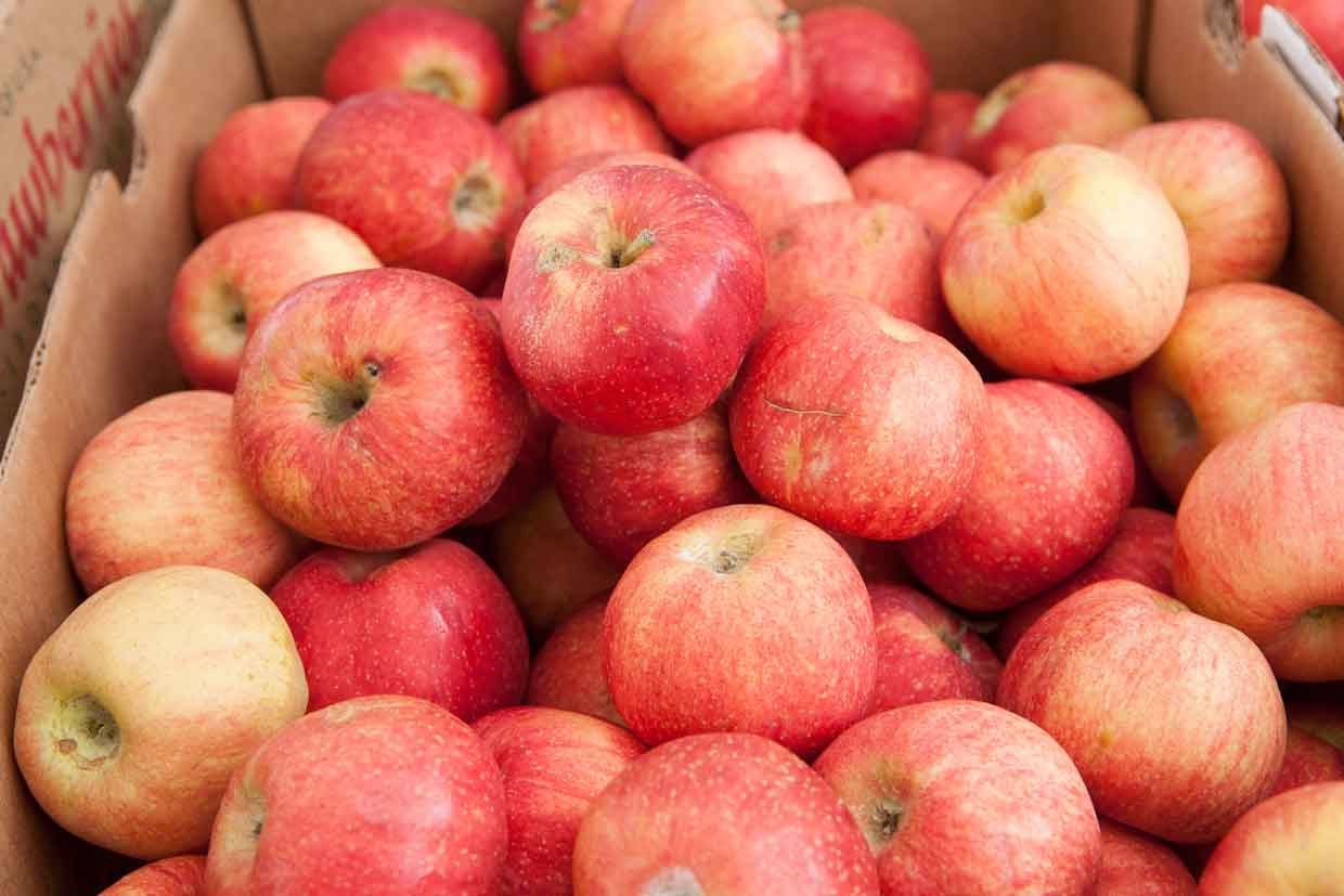 Homemade Applesauce – BIG little Project